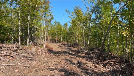 Recreational land with a view - image 14