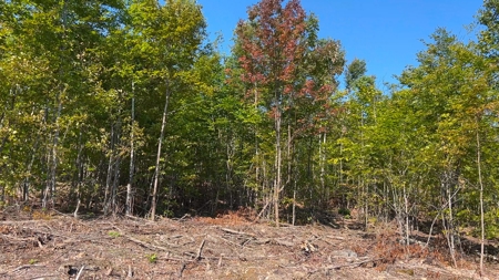 Recreational land with a view - image 16