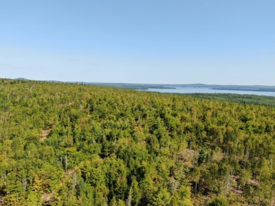 Recreational land with a view - image 10