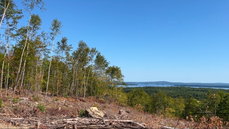 Recreational land with a view - image 17
