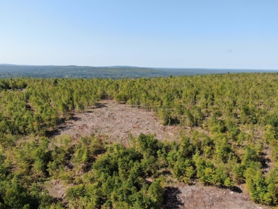 Recreational land with a view - image 6