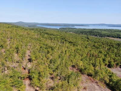 Recreational land with a view - image 5