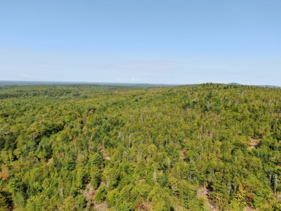 Recreational land with a view - image 9