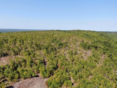 Recreational land with a view - image 8