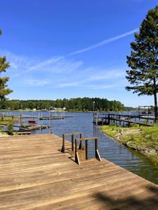 Lake Front Property Toledo Bend - image 19