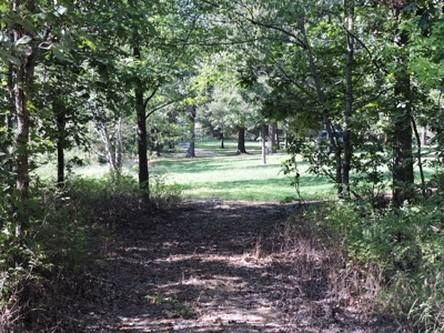 Buffalo River Home & Acreage For Sale Searcy County Ar  BNB - image 18