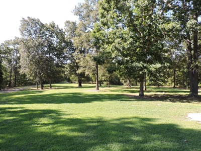 Buffalo River Home & Acreage For Sale Searcy County Ar  BNB - image 14