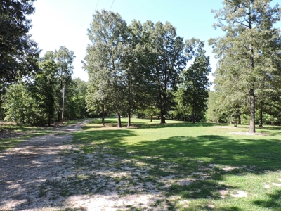 Buffalo River Home & Acreage For Sale Searcy County Ar  BNB - image 3