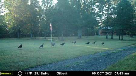 Buffalo River Home & Acreage For Sale Searcy County Ar  BNB - image 22