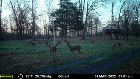 Buffalo River Home & Acreage For Sale Searcy County Ar  BNB - image 24