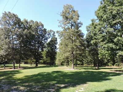 Buffalo River Home & Acreage For Sale Searcy County Ar  BNB - image 2