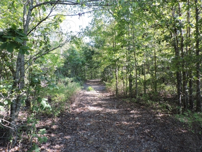 Buffalo River Home & Acreage For Sale Searcy County Ar  BNB - image 17