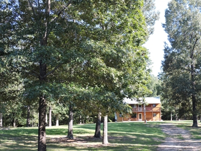 Buffalo River Home & Acreage For Sale Searcy County Ar  BNB - image 20
