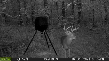 Buffalo River Home & Acreage For Sale Searcy County Ar  BNB - image 23