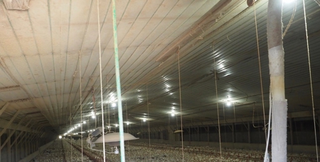 Poultry Farm 8 House Broiler 78 Acres Central Mississippi - image 20