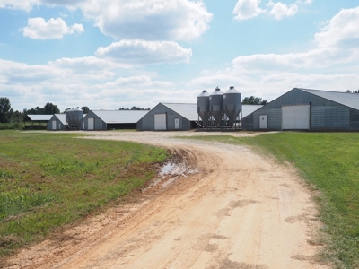 Poultry Farm 8 House Broiler 78 Acres Central Mississippi - image 2