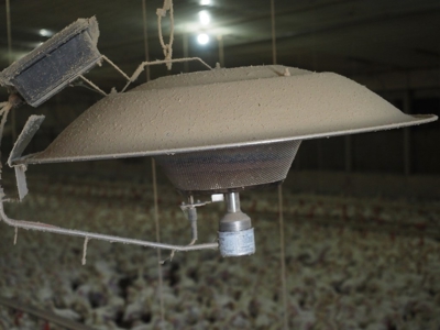 Poultry Farm 8 House Broiler 78 Acres Central Mississippi - image 25