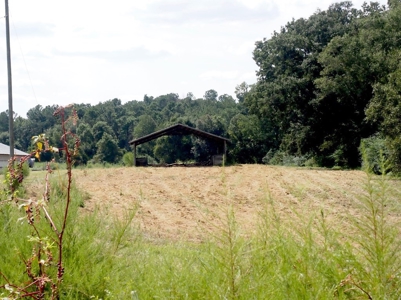 Poultry Farm 8 House Broiler 78 Acres Central Mississippi - image 37
