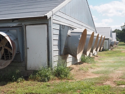 Poultry Farm 8 House Broiler 78 Acres Central Mississippi - image 13