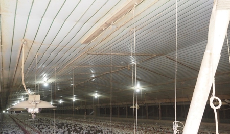 Poultry Farm 8 House Broiler 78 Acres Central Mississippi - image 19