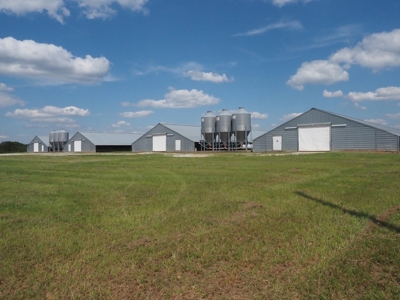 Poultry Farm 8 House Broiler 78 Acres Central Mississippi - image 9