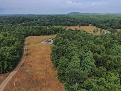 Ozarks Hunting Oasis For Sale in Willow Springs, MO - image 11