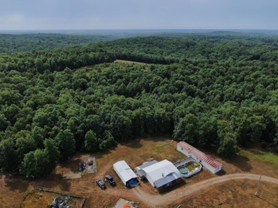 Ozarks Hunting Oasis For Sale in Willow Springs, MO - image 5