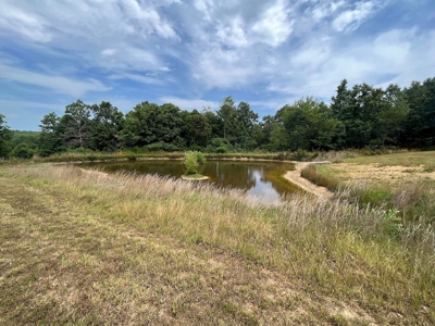 Ozarks Hunting Oasis For Sale in Willow Springs, MO - image 13