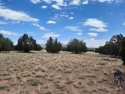 Great Views - image 3