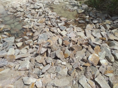 Finca With 47 Hectars For Sale In Via El Coco Penonome - image 12