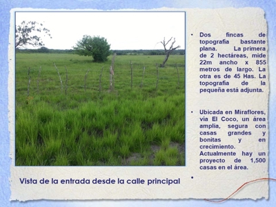 Finca With 47 Hectars For Sale In Via El Coco Penonome - image 1