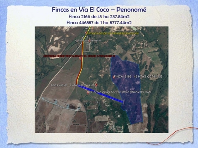 Finca With 47 Hectars For Sale In Via El Coco Penonome - image 18