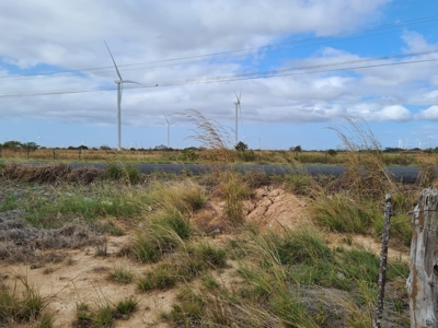 Finca With 47 Hectars For Sale In Via El Coco Penonome - image 16