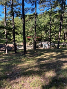 Piedmont Missouri Home and Land For Sale - image 3