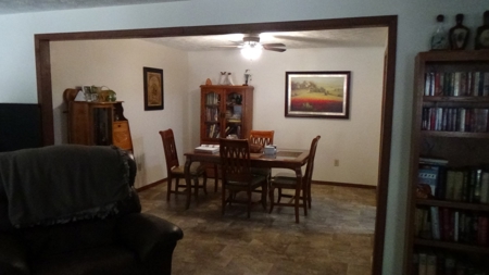Piedmont Missouri Home and Land For Sale - image 8