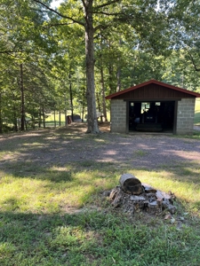 Piedmont Missouri Home and Land For Sale - image 1