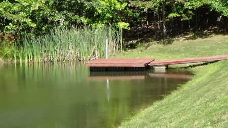Piedmont Missouri Home and Land For Sale - image 29