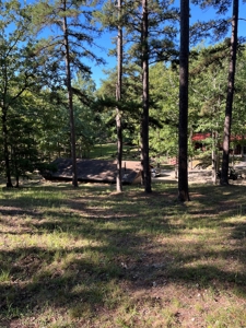Piedmont Missouri Home and Land For Sale - image 4