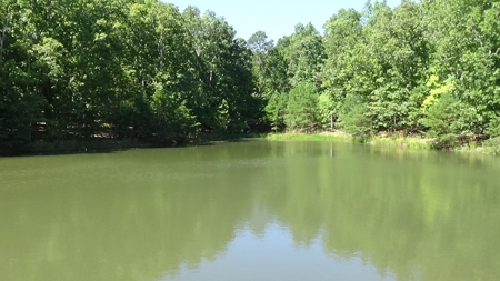 Piedmont Missouri Home and Land For Sale - image 23