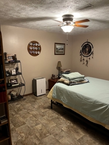 Piedmont Missouri Home and Land For Sale - image 36