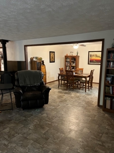 Piedmont Missouri Home and Land For Sale - image 40