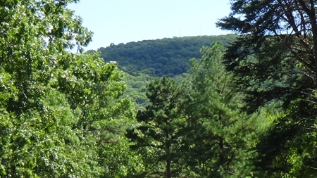 Piedmont Missouri Home and Land For Sale - image 25