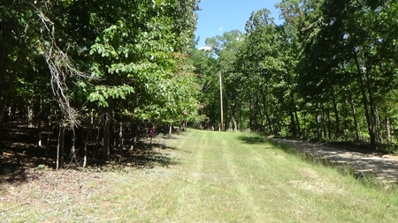 Piedmont Missouri Home and Land For Sale - image 16