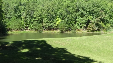 Piedmont Missouri Home and Land For Sale - image 14