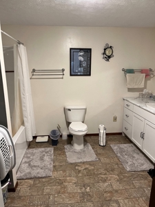 Piedmont Missouri Home and Land For Sale - image 37