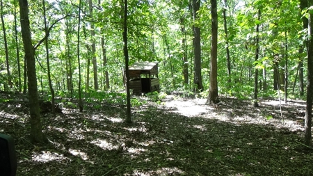 Piedmont Missouri Home and Land For Sale - image 15