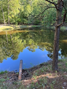 Piedmont Missouri Home and Land For Sale - image 2