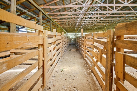60 Acre South Central Missouri Farm With Auction Barn - image 18