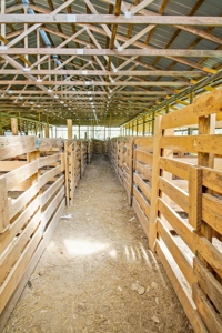 60 Acre South Central Missouri Farm With Auction Barn - image 20