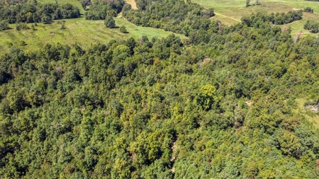 60 Acre South Central Missouri Farm With Auction Barn - image 24